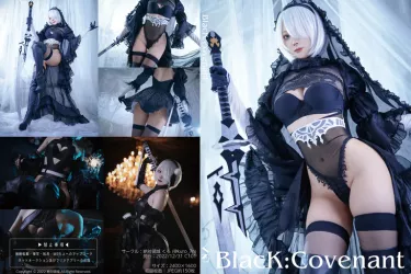 【C101】ROM写真集「BlacK:Covenant」