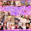 ※大好評！【Fジー0 10レイヤー10作品のボリュームたっぷり160分　おしゃぶり大好きな男の娘レイヤーさんたちのゲッチュ限定配信の超超お得版。