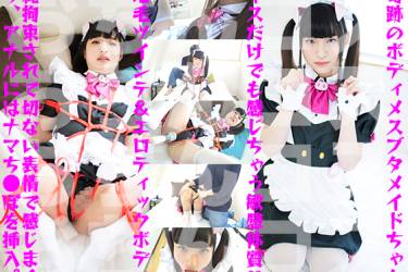 超絶美ボディ＆プロポーションの牝豚メイドちゃん生ち●ぽ挿入ふぁっく