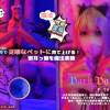 獣耳っ娘を魔法実験▶卑猥な飼育で従順なペットに育て上げる!!!