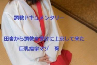 ***ドキュメンタリー　田舎から***を受けに上京して来た　巨乳痙攣マゾ　葵 【従順な愛奴の育て方】