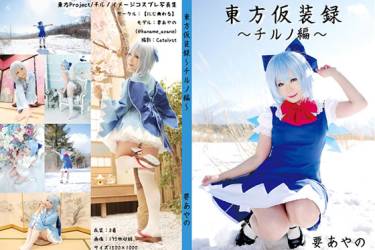 東方仮装録～チルノ編～