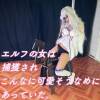 エルフの女は捕獲され可哀そうなめにあっていた
