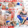 黒パト縄むちオイリーSEX 中出したっぷりのち濃厚射精