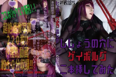 【50%OFF】【DL版】ししょうの穴にゲイボルグ二本刺挿してみた
